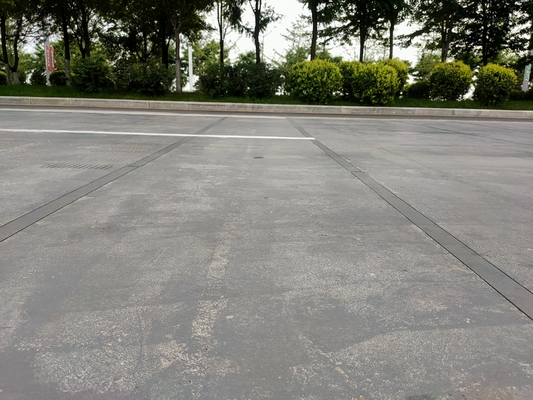 80km / H IP68 Trọng lượng tốc độ cao trong hệ thống chuyển động chống gian lận