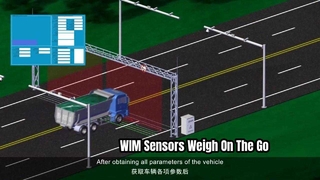 Cảm biến WIM: Trọng lượng xe chính xác khi chuyển động